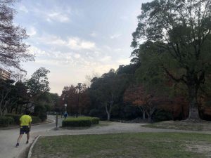 December 1, 2018 - (5) Tokushima Central Park IMG_9008