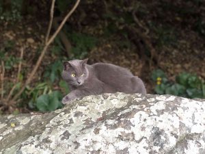 December 1, 2018 - (5) Tokushima Central Park IMG_9020_1