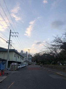 December 1, 2018 - (5) Tokushima Central Park IMG_9030