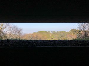 December 2, 2018 - (4) Mount Rokko IMG_1144