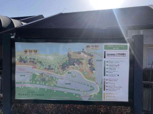 December 2, 2018 - (4) Mount Rokko IMG_9054