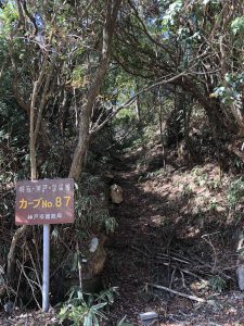 December 2, 2018 - (4) Mount Rokko IMG_9118