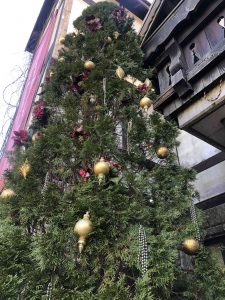 December 2, 2018 - (4) Mount Rokko IMG_9127