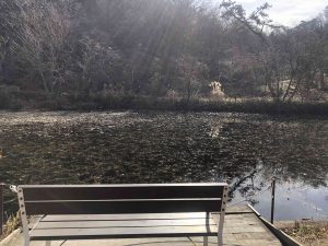 December 2, 2018 - (4) Mount Rokko IMG_9138