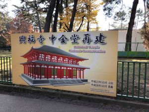 November 27, 2018 - (3) Kohfukuji Temple IMG_0276