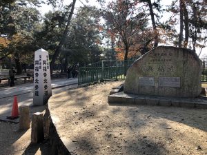 November 27, 2018 - (3) Kohfukuji Temple IMG_0279