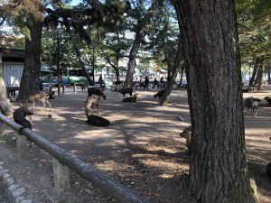November 27, 2018 - (3) Kohfukuji Temple IMG_0282