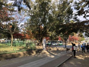 November 27, 2018 - (3) Kohfukuji Temple IMG_0284