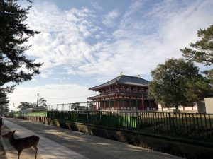 November 27, 2018 - (3) Kohfukuji Temple IMG_0285