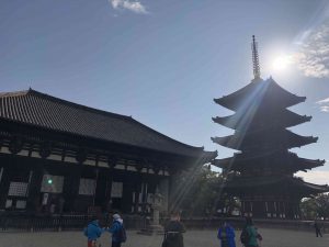 November 27, 2018 - (3) Kohfukuji Temple IMG_7964