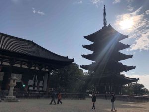 November 27, 2018 - (3) Kohfukuji Temple IMG_7967
