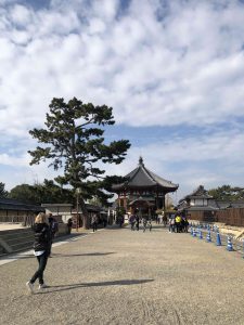 November 27, 2018 - (3) Kohfukuji Temple IMG_7969