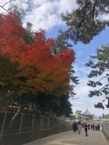 November 27, 2018 - (3) Kohfukuji Temple IMG_7975