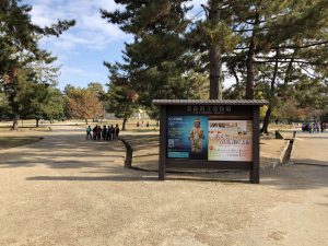 November 27, 2018 - (4) Nara Park IMG_0296