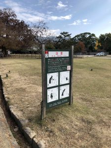 November 27, 2018 - (4) Nara Park IMG_0299