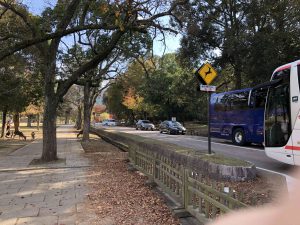 November 27, 2018 - (4) Nara Park IMG_0300