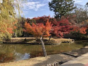 November 27, 2018 - (4) Nara Park IMG_0301