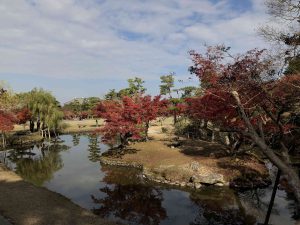 November 27, 2018 - (4) Nara Park IMG_0302