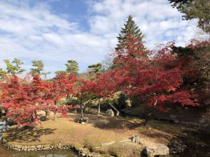 November 27, 2018 - (4) Nara Park IMG_0304