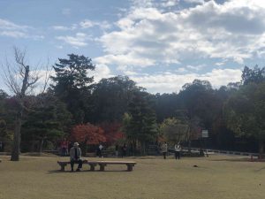 November 27, 2018 - (4) Nara Park IMG_8026