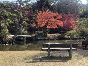 November 27, 2018 - (4) Nara Park IMG_8027