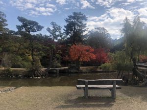 November 27, 2018 - (4) Nara Park IMG_8028