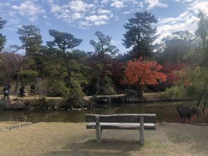 November 27, 2018 - (4) Nara Park IMG_8030