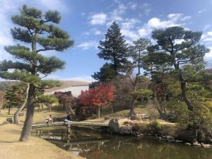 November 27, 2018 - (4) Nara Park IMG_8045