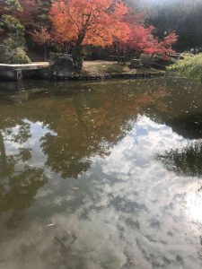 November 27, 2018 - (4) Nara Park IMG_8053