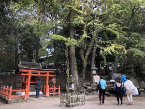November 27, 2018 - (5) Kasuga Taisha IMG_0308