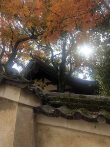 November 27, 2018 - (5) Kasuga Taisha IMG_8061