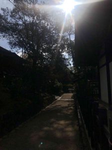 November 27, 2018 - (5) Kasuga Taisha IMG_8065
