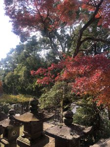 November 27, 2018 - (5) Kasuga Taisha IMG_8067