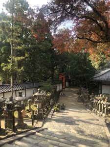 November 27, 2018 - (5) Kasuga Taisha IMG_8068