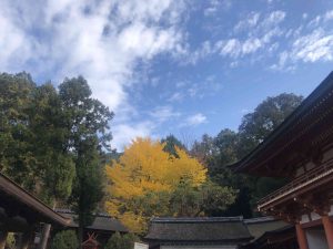 November 27, 2018 - (5) Kasuga Taisha IMG_8072