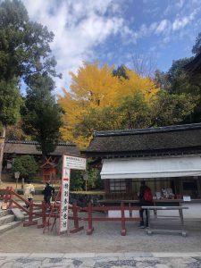 November 27, 2018 - (5) Kasuga Taisha IMG_8075