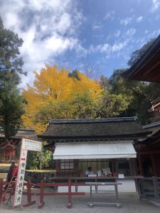 November 27, 2018 - (5) Kasuga Taisha IMG_8076