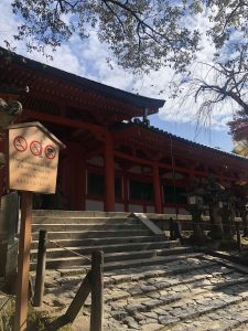 November 27, 2018 - (5) Kasuga Taisha IMG_8081