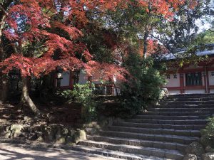 November 27, 2018 - (5) Kasuga Taisha IMG_8086