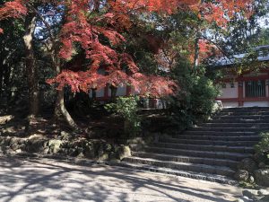 November 27, 2018 - (5) Kasuga Taisha IMG_8087