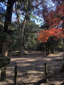 November 27, 2018 - (5) Kasuga Taisha IMG_8100