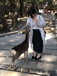 November 27, 2018 - (5) Kasuga Taisha IMG_8104