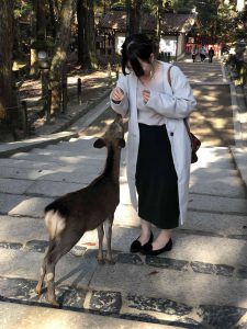 November 27, 2018 - (5) Kasuga Taisha IMG_8105