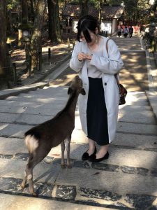 November 27, 2018 - (5) Kasuga Taisha IMG_8106