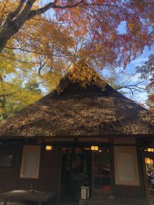 November 27, 2018 - (5) Kasuga Taisha IMG_8112