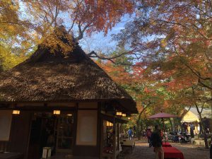 November 27, 2018 - (5) Kasuga Taisha IMG_8113