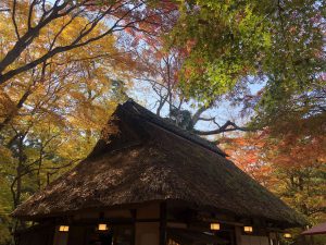 November 27, 2018 - (5) Kasuga Taisha IMG_8115