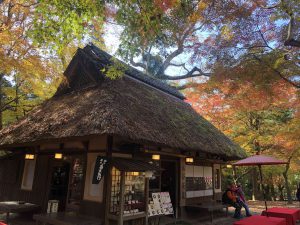 November 27, 2018 - (5) Kasuga Taisha IMG_8118