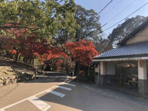 November 27, 2018 - (5) Kasuga Taisha IMG_8123