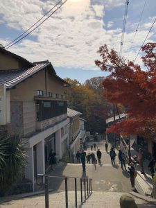 November 27, 2018 - (6) Mount Wakakusa IMG_0312